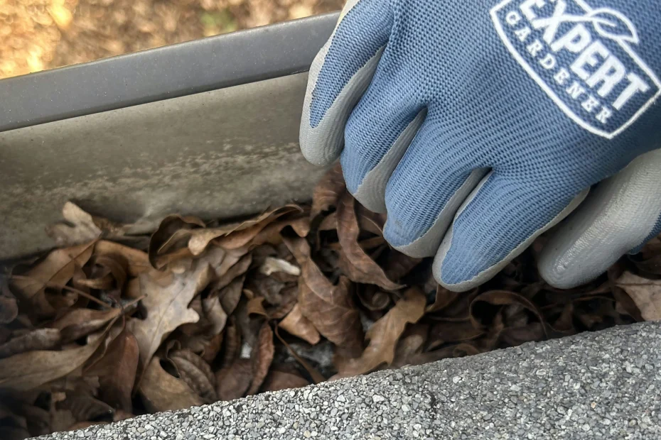 Gutter Cleaning East Liberty