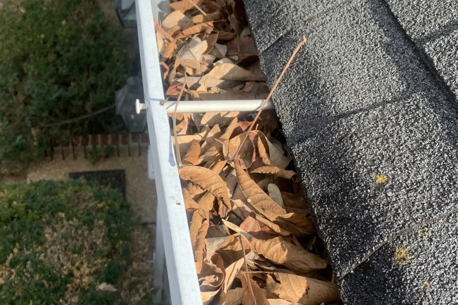 Gutter Cleaning East Liberty